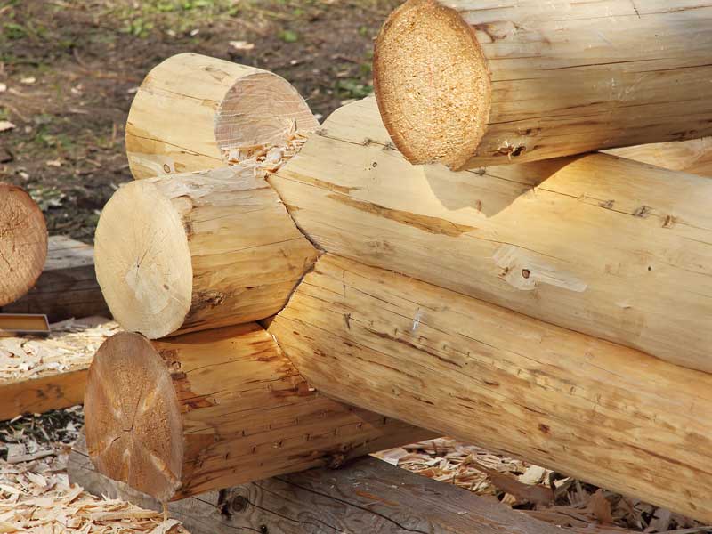 Log Rot & Prevention